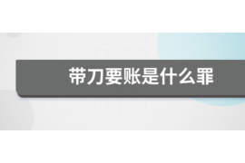 柳北为什么选择专业追讨公司来处理您的债务纠纷？